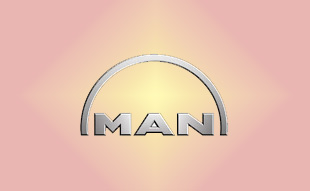 ✓ MAN 81.11311.0040 Запчасти МАН (MAN) 