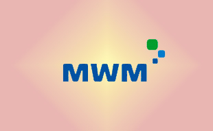 ✓ MWM 0218 8655 Запчасть MWM 